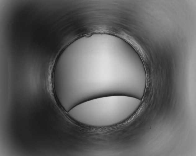 X0000088060806200705110912