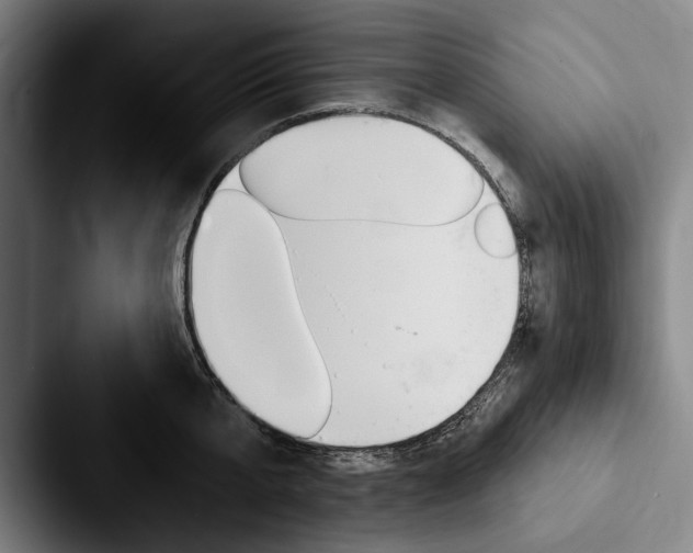 X0000088060807200705110912