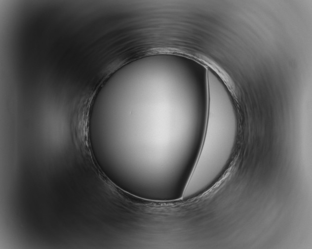 X0000088060809200705110912