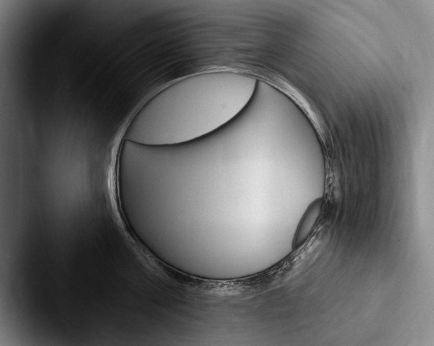 X0000088060811200705110912