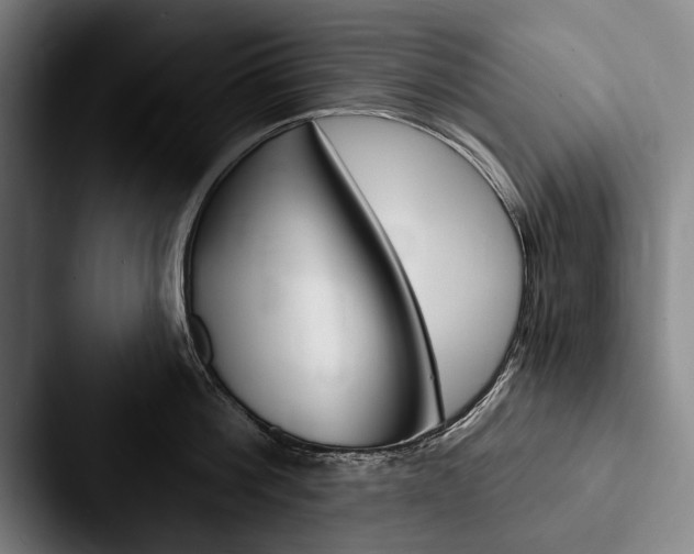 X0000088060812200705110912