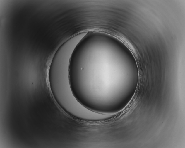 X0000088060813200705110912