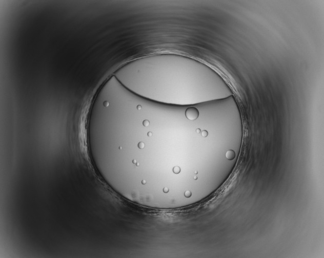 X0000088060814200705110912