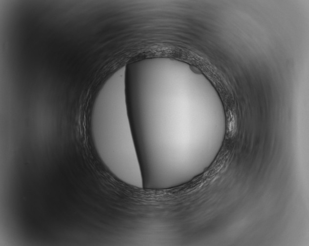 X0000088060819200705110912