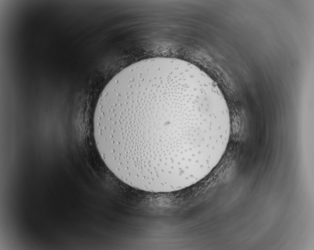 X0000088060820200705110912