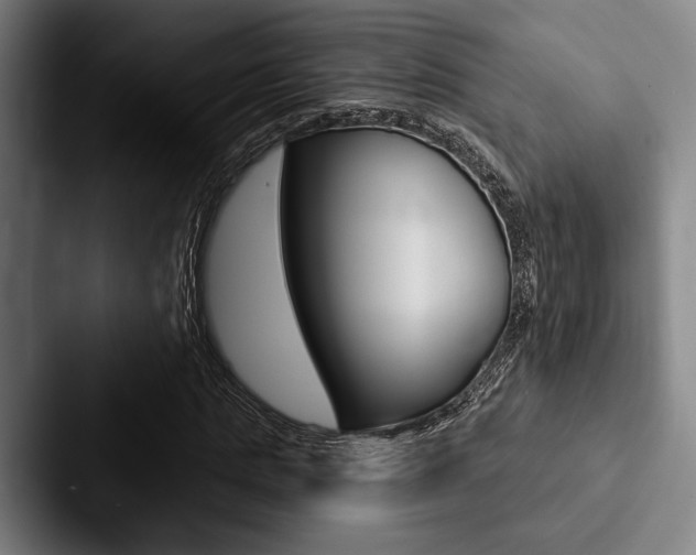 X0000088060821200705110912