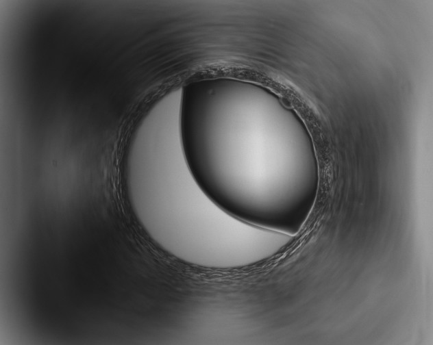 X0000088060822200705110912