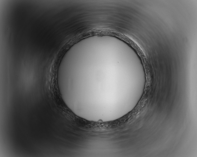 X0000088060823200705110912