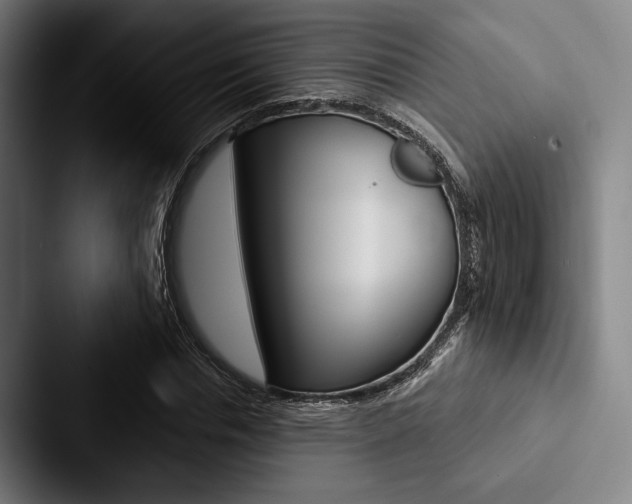 X0000088060826200705110912