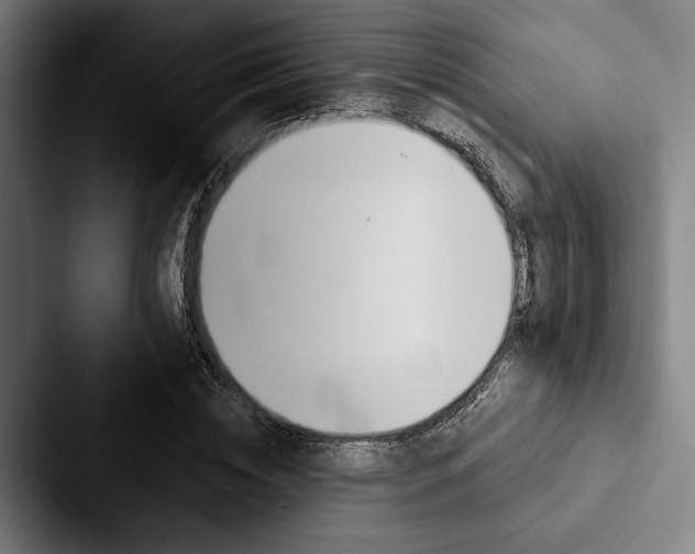 X0000088060828200705110912
