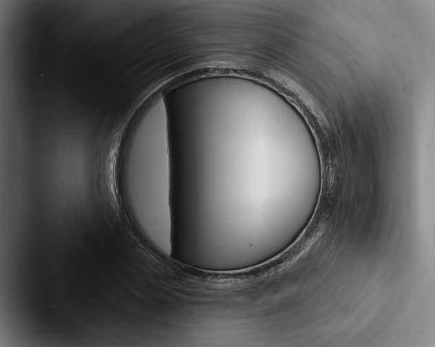 X0000088060829200705110912