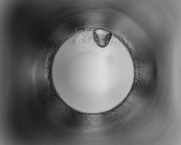 X0000088060832200705110912