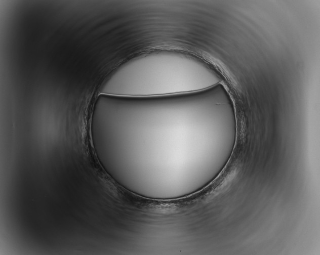 X0000088060833200705110912