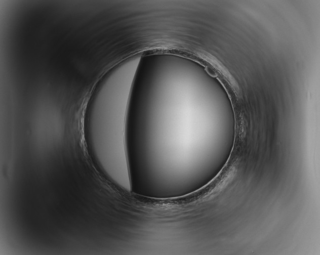 X0000088060834200705110912