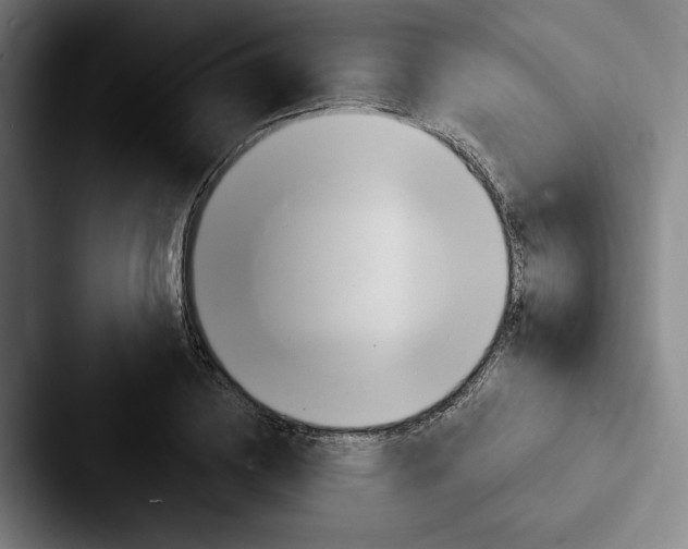 X0000088060836200705110912