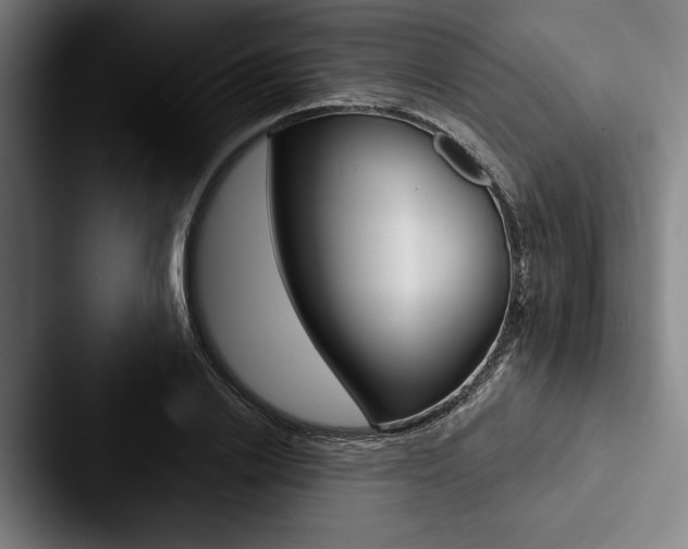 X0000088060838200705110912