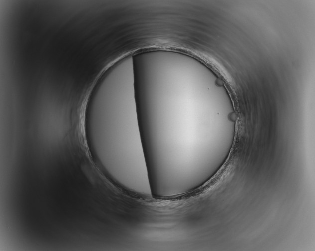 X0000088060839200705110912