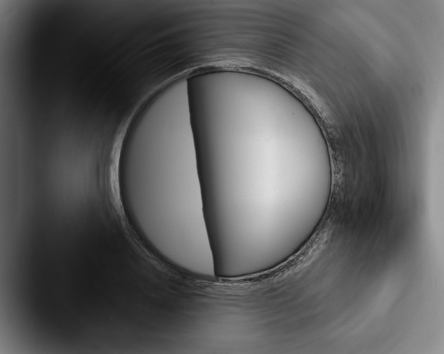 X0000088060840200705110912