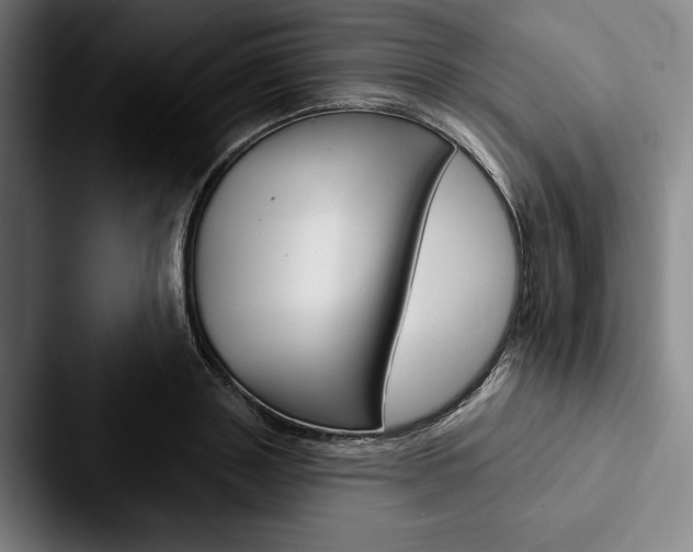 X0000088060843200705110912