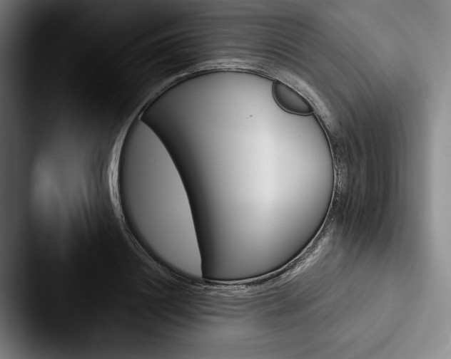 X0000088060844200705110912
