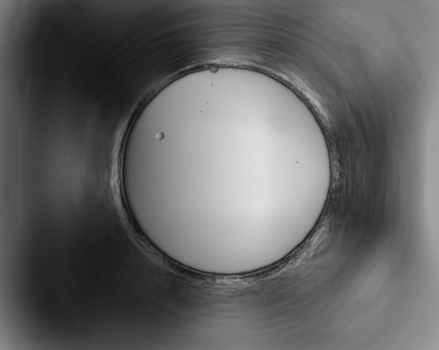 X0000088060848200705110912