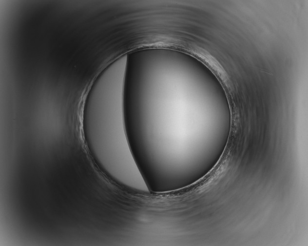 X0000088060850200705110912