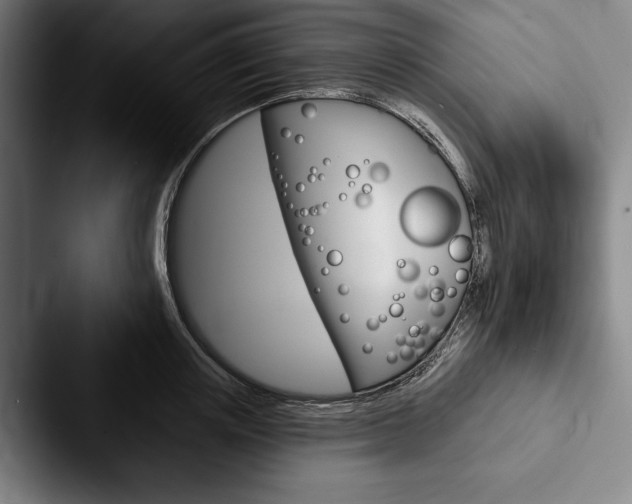 X0000088060851200705110912