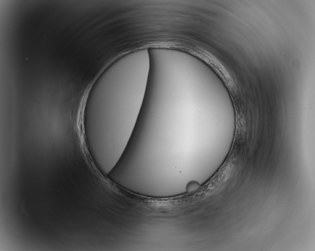 X0000088060852200705110912