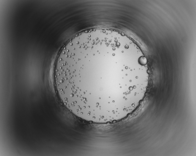 X0000088060856200705110912