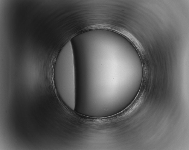X0000088060857200705110912