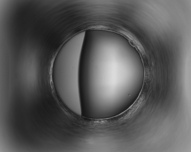 X0000088060858200705110912