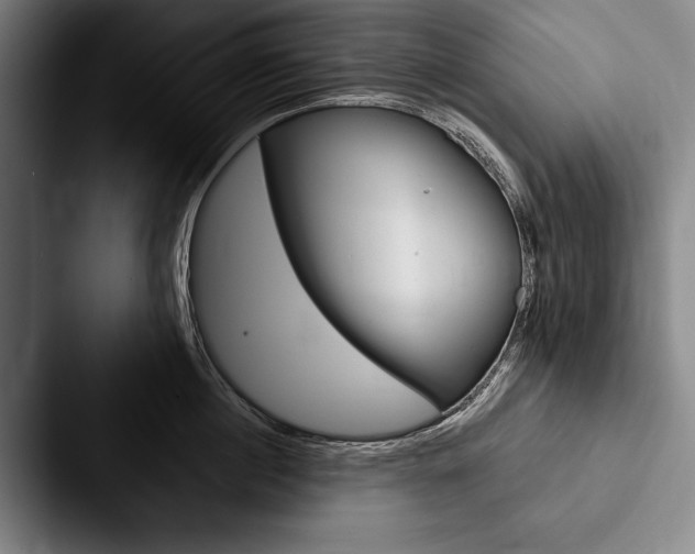 X0000088060860200705110912
