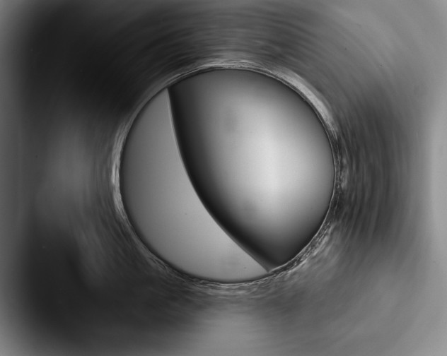 X0000088060861200705110912