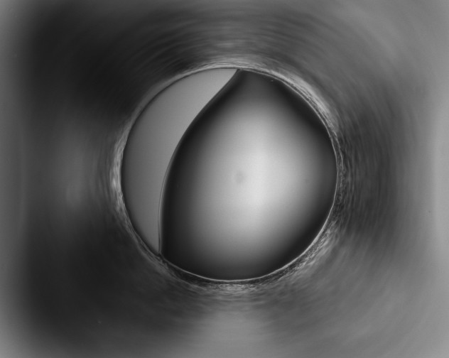 X0000088060862200705110912