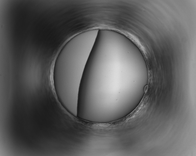 X0000088060863200705110912