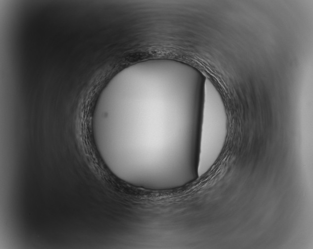 X0000088060865200705110912