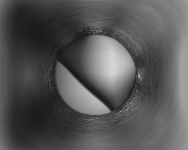 X0000088060867200705110912