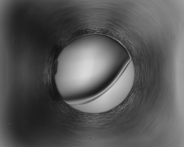 X0000088060868200705110912
