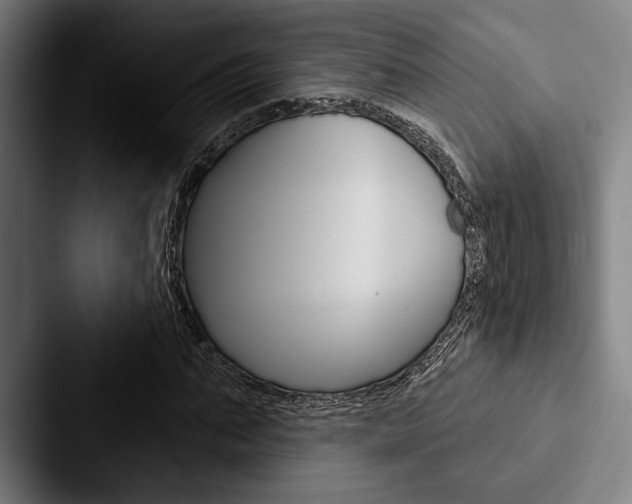 X0000088060871200705110911