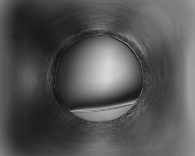 X0000088060872200705110911