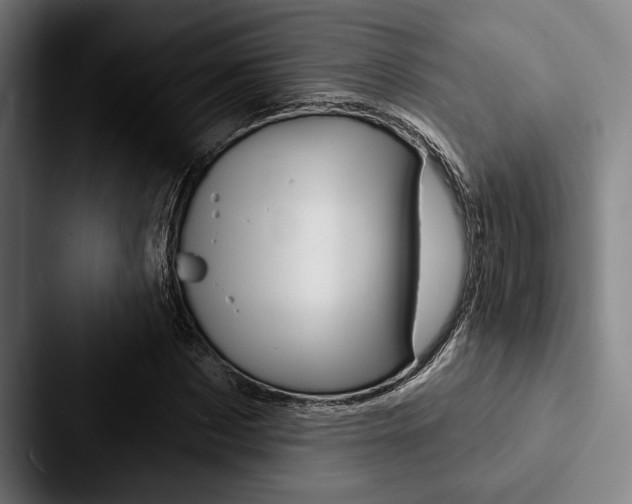 X0000088060873200705110911