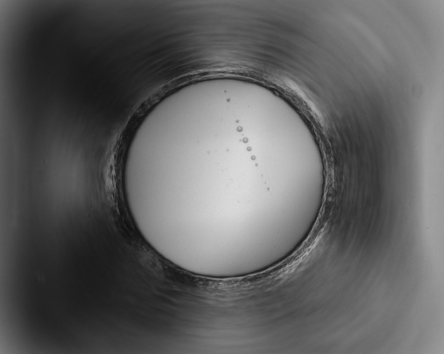 X0000088060875200705110911