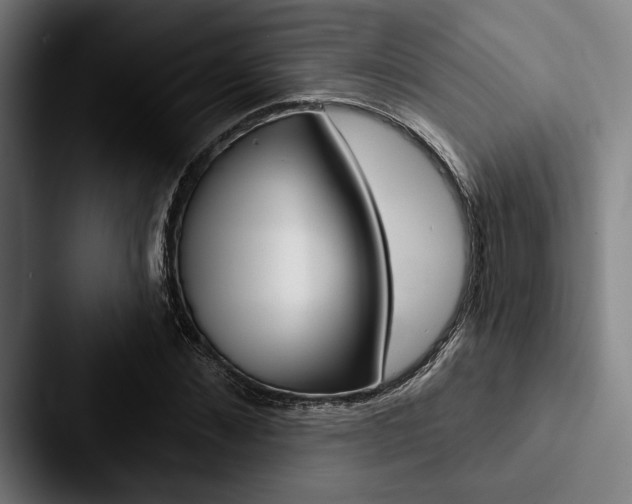 X0000088060876200705110911