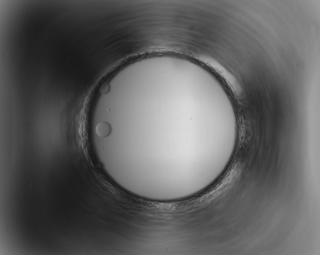 X0000088060878200705110911