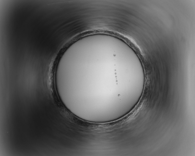 X0000088060879200705110911