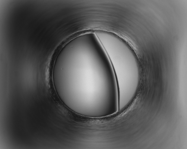 X0000088060880200705110911