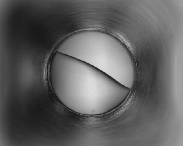 X0000088060883200705110911