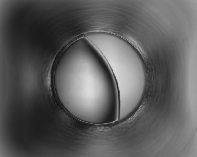 X0000088060884200705110911