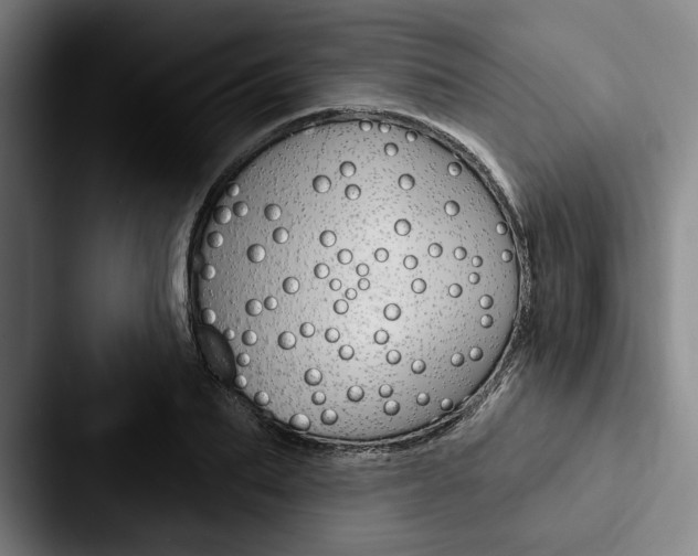 X0000088060887200705110911