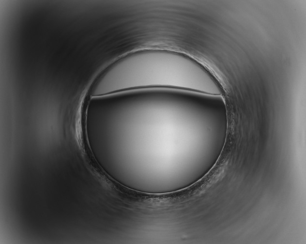 X0000088060888200705110911